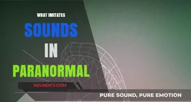 Eerie Echoes: Unveiling Paranormal Sound Mimics and Their Mysteries