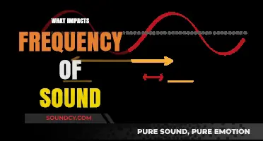 Exploring Factors Influencing Sound Frequency: Key Determinants and Effects