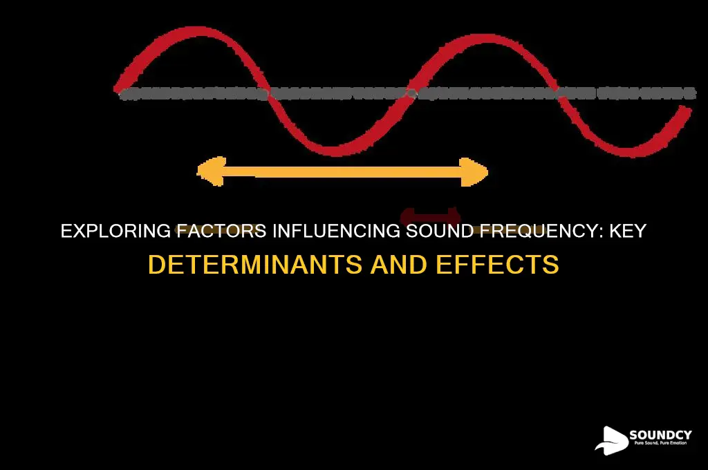 what impacts frequency of sound