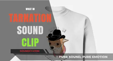 What in Tarnation Sound Clip: Origins, Memes, and Viral Fame