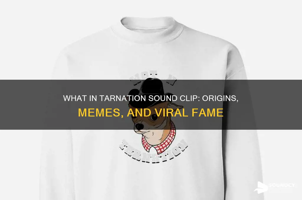 what in tarnation sound clip