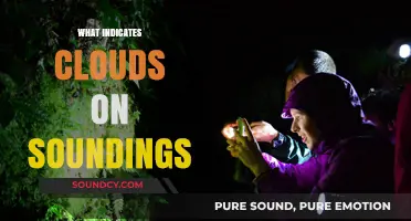 Decoding Soundings: Key Indicators of Cloud Formation Explained