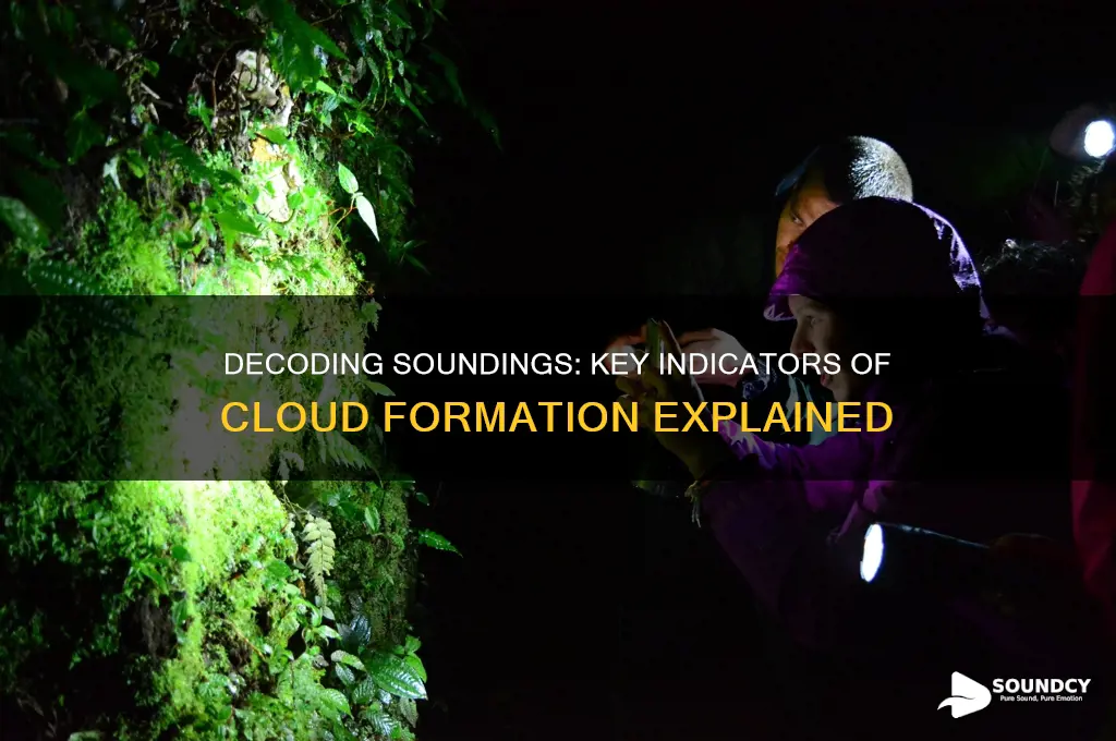 what indicates clouds on soundings