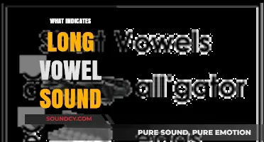 Mastering Long Vowel Sounds: Key Indicators and Pronunciation Tips