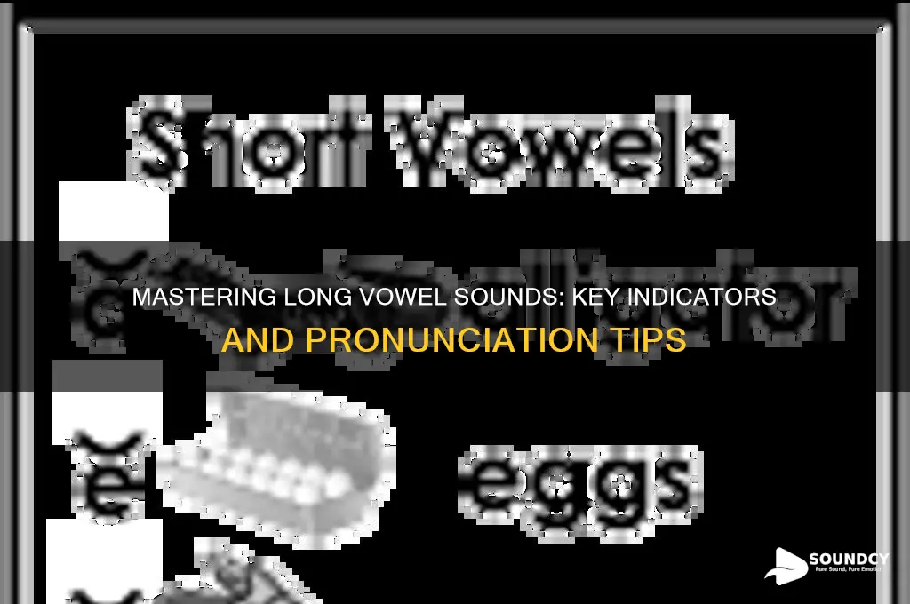 what indicates long vowel sound