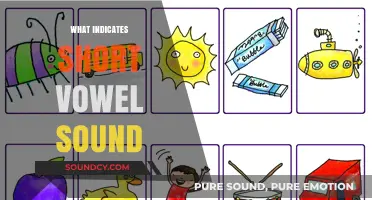 Mastering Short Vowel Sounds: Key Indicators and Pronunciation Tips
