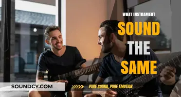 Unveiling the Surprising Instruments That Share Identical Sounds and Tones