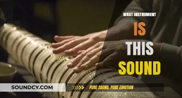Unraveling the Mystery: Identifying the Instrument Behind That Unique Sound