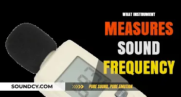 Discover the Instrument That Accurately Measures Sound Frequency