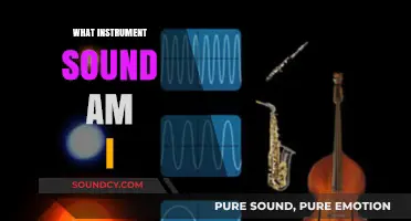 Discover Your Musical Identity: What Instrument Sound Are You?