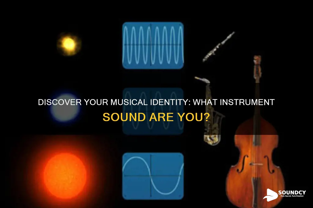 what instrument sound am i