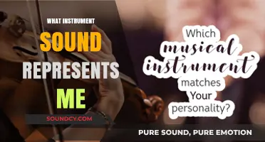 Discover Your Musical Identity: Which Instrument's Sound Reflects Your Personality?
