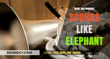 Unveiling the Unique Instrument That Mimics an Elephant's Trumpet Call