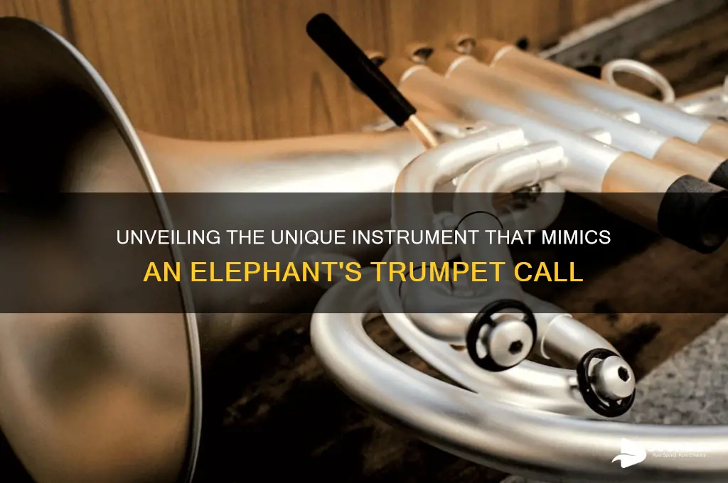 what instrument sounds like elephant