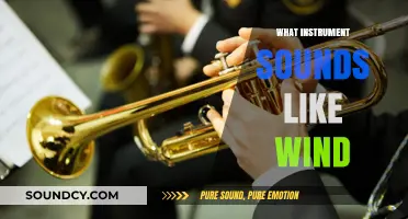 Melodic Breezes: Instruments That Mimic the Soothing Sound of Wind