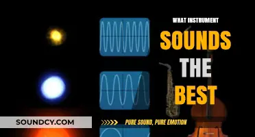 Exploring the Most Beautiful Instrument Sounds: A Musical Journey