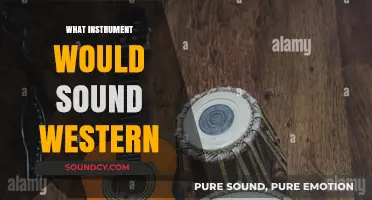 Unveiling the Quintessential Western Sound: Instruments That Define the Genre