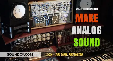 Exploring Analog Sound: Instruments That Create Warm, Authentic Tones