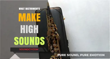 Exploring High-Pitched Instruments: From Piccolo to Triangle