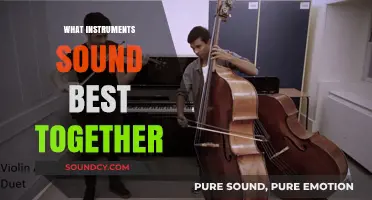 Harmonious Duos: Discovering the Perfect Instrument Pairings for Rich Soundscapes