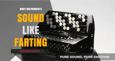 Unusual Sounds: Instruments That Surprisingly Resemble Farting Noises