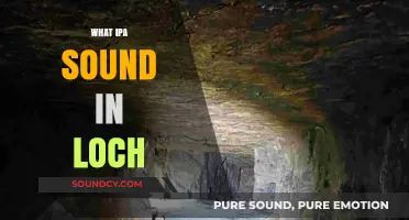 Decoding the IPA Sound in 'Loch': A Phonetic Exploration