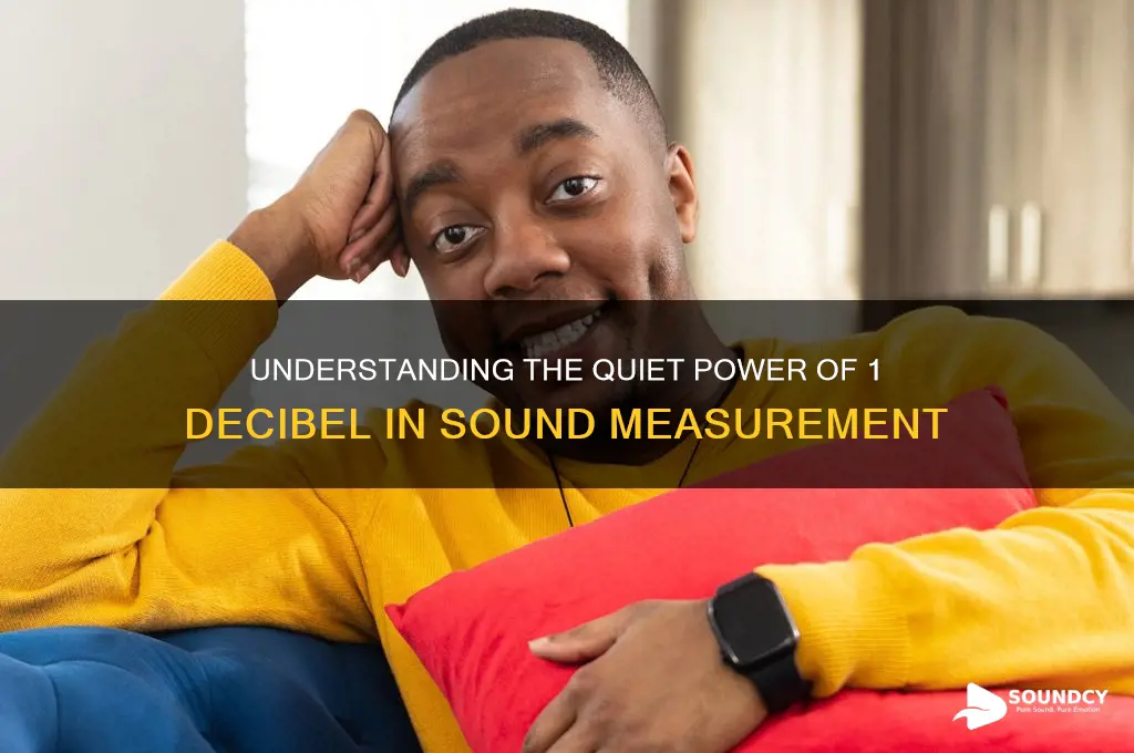what is 1 db sound