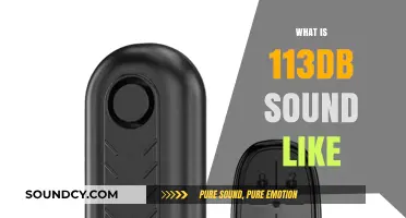 Understanding the Intensity: What Does 113dB Sound Like?