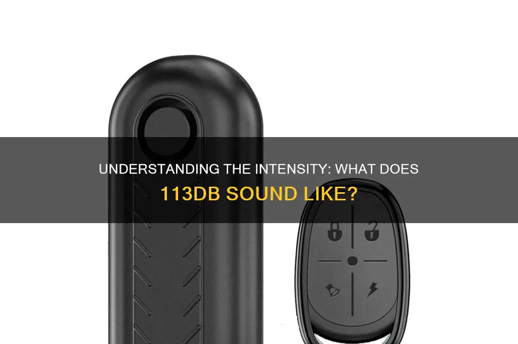 what is 113db sound like