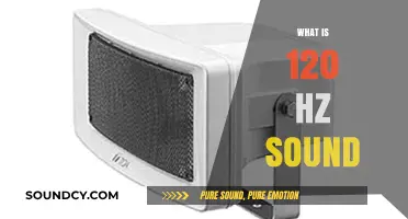 Understanding 120 Hz Sound: Frequency, Applications, and Effects Explained