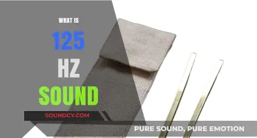 Understanding the Unique Characteristics of 125 Hz Sound Frequencies