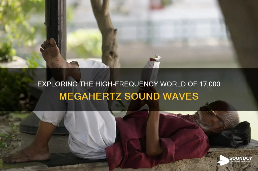 what is 17000 megahertz sound