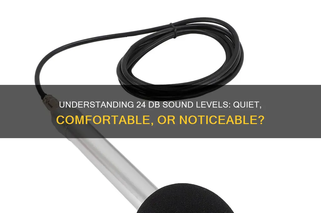what is 24 db sound