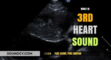 Understanding the Third Heart Sound: Causes, Detection, and Clinical Significance