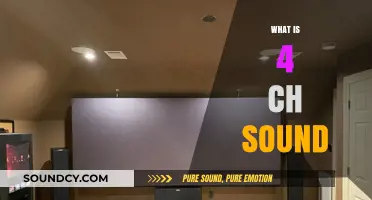 Understanding the Unique 4-Channel Surround Sound Experience and Its Benefits
