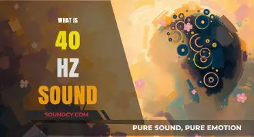 Unveiling the Mystery of 40 Hz Sound: Frequency, Effects, and Uses
