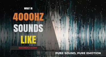 Exploring the High-Frequency World: What Does 4000Hz Sound Like?