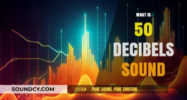 Understanding 50 Decibels: Quiet Sounds and Their Everyday Impact