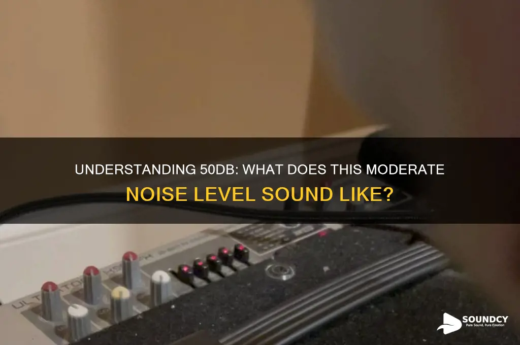 what is 50db sound like
