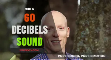 Understanding 60 Decibels: Everyday Sounds and Their Impact Explained
