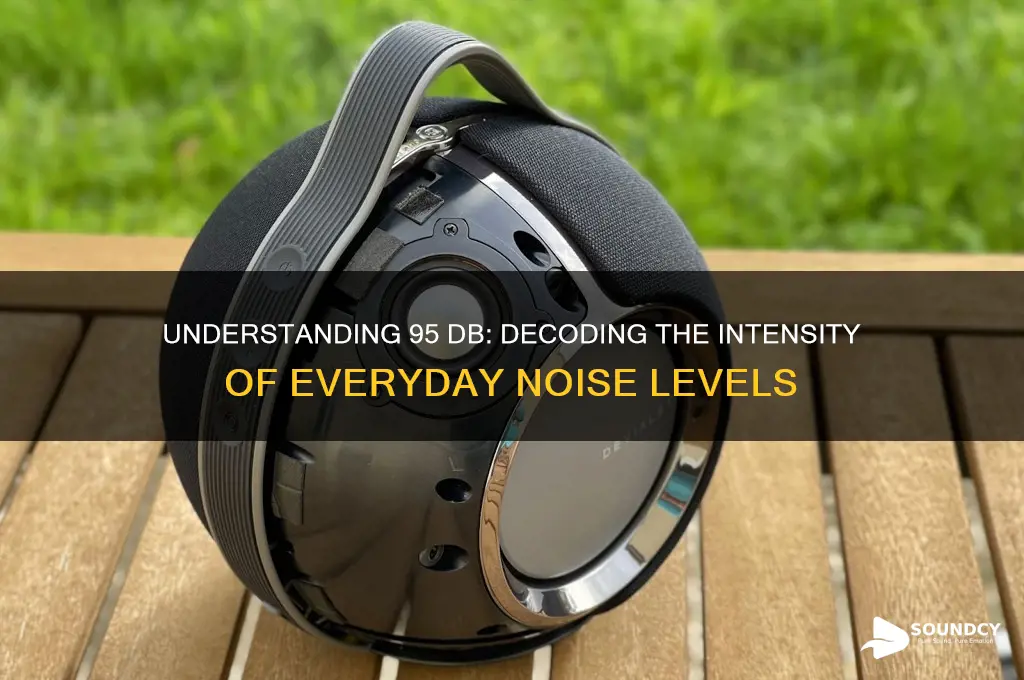 what is 95 db sound