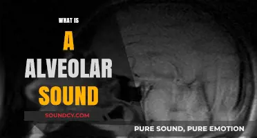 Understanding Alveolar Sounds: Definition, Examples, and Role in Speech