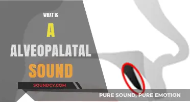 Understanding Alveopalatal Sounds: A Comprehensive Guide to Their Pronunciation and Use