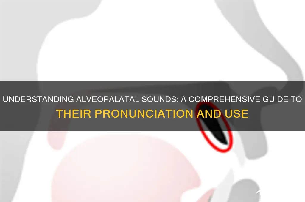 what is a alveopalatal sound