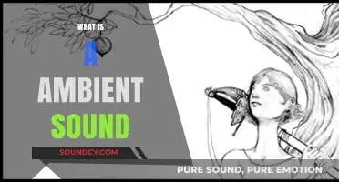 Understanding Ambient Sound: Definition, Uses, and Benefits Explained