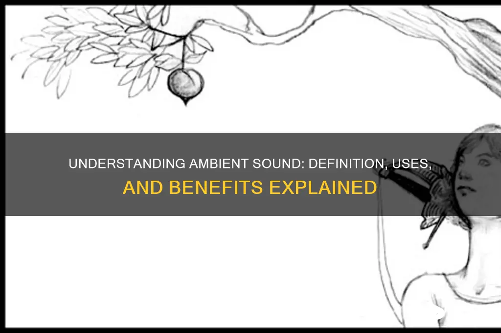 what is a ambient sound