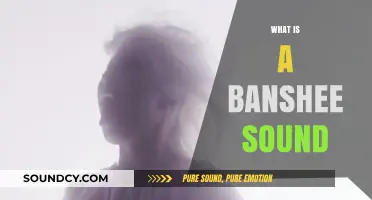 Unveiling the Eerie Mystery: What is a Banshee's Sound?