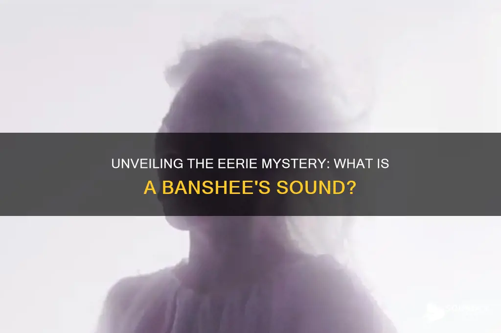 what is a banshee sound