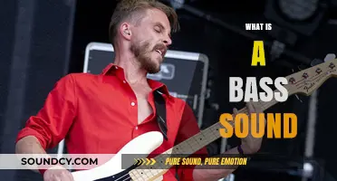 Understanding the Deep, Vibrant World of Bass Sound in Music