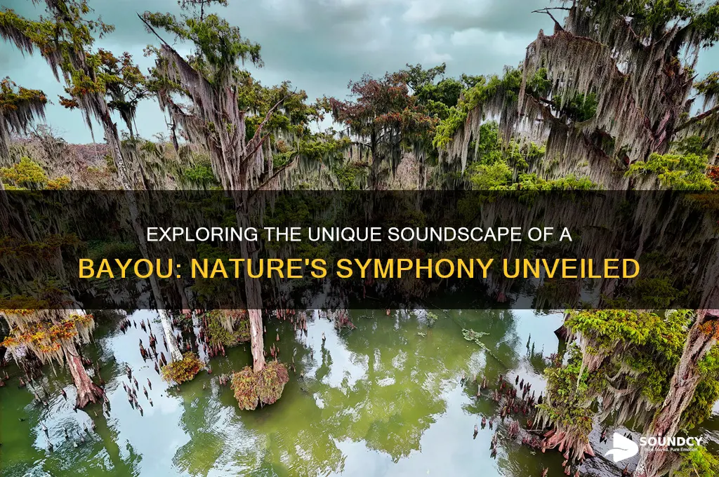 what is a bayou sound